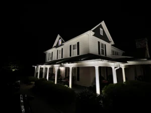 A nighttime close-up of a tree beautifully illuminated by expert lighting design and installation, with a brick pathway and dark surroundings enhancing the glowing effect.